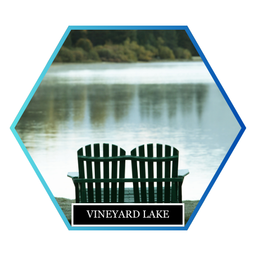 Vineyard Lake Michigan